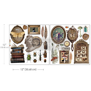 Collector's Closet Transfer by Redesign with Prima