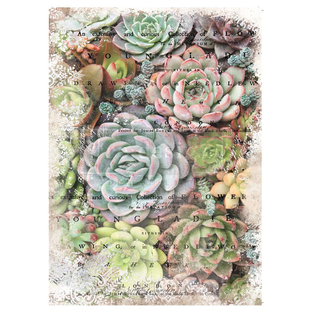 Redesign Mulberry Tissue Paper - Zuri