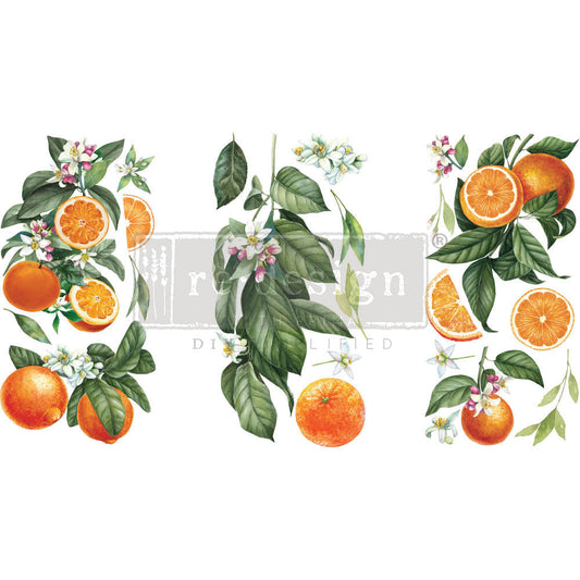 Redesign Decor Small Transfer - Citrus Slice