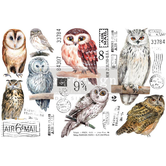 Redesign Decor Small Transfer - Owl